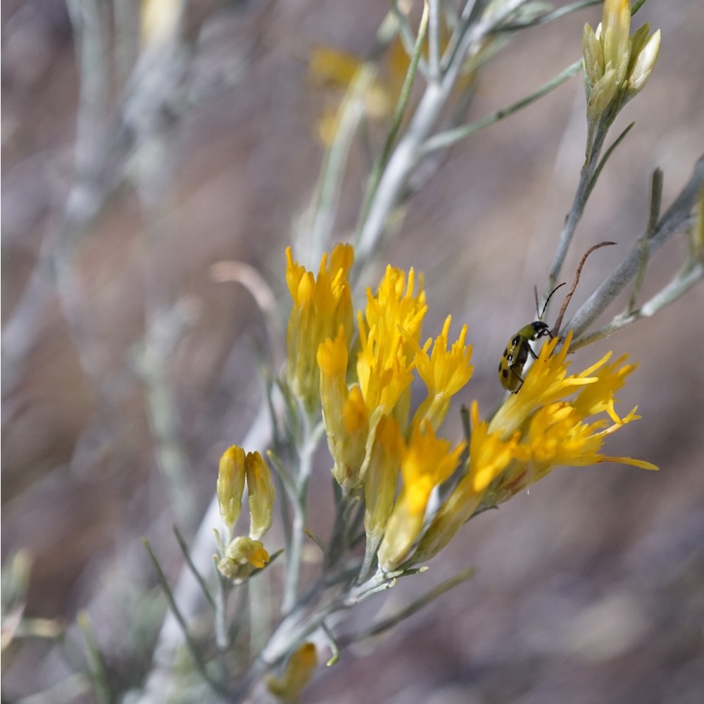 Meet your Posher, Erika
